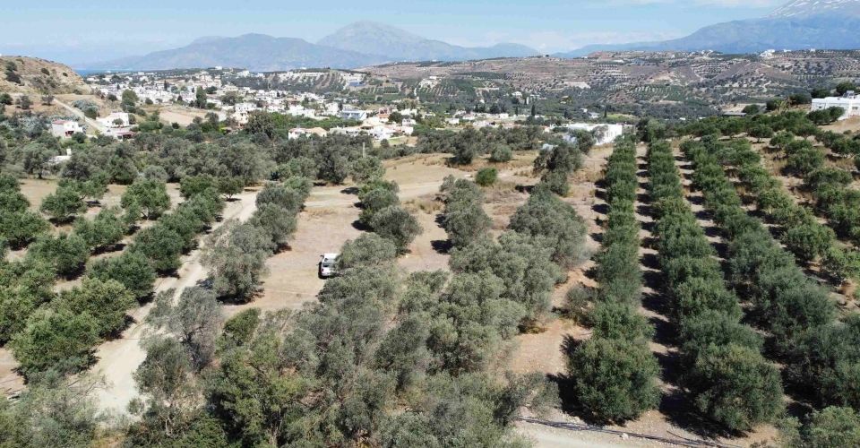 ΟΙΚΟΠΕΔΟ 2.600 m² ΠΡΟΣ ΠΩΛΗΣΗ ΣΤΑ ΠΙΤΣΙΔΙΑ