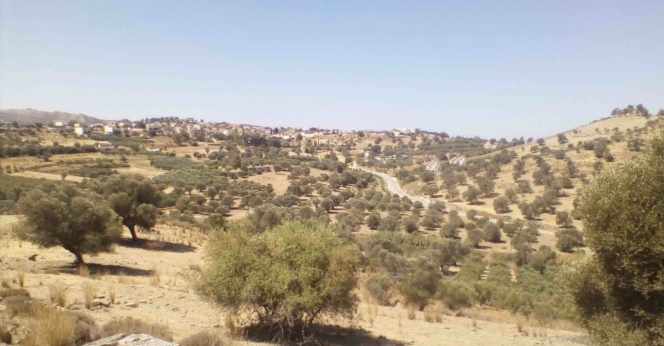 LAND PLOT 17.000 m² FOR SALE IN SIVAS