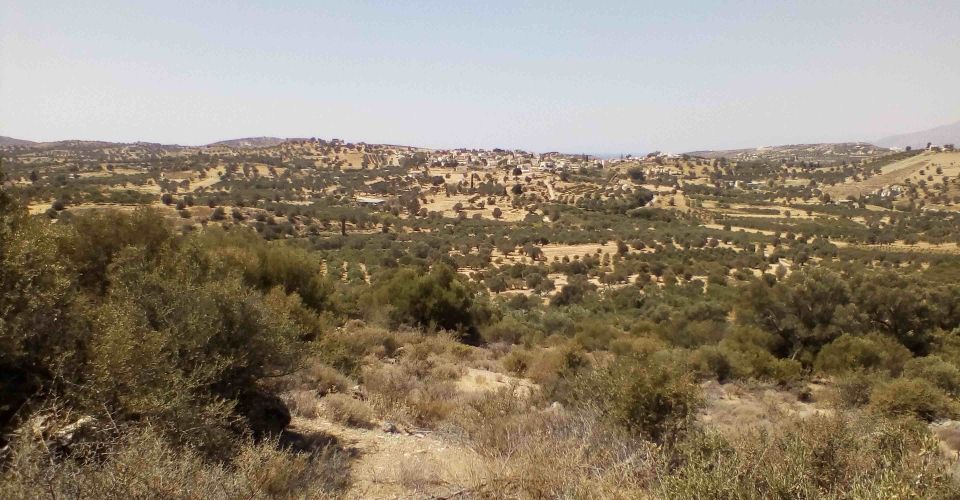 LAND PLOT 4100 m² FOR SALE IN SIVAS