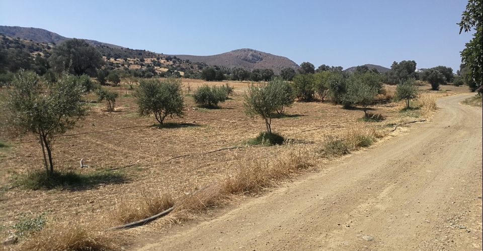 ΟΙΚΟΠΕΔΟ 800 m² ΠΡΟΣ ΠΩΛΗΣΗ ΣΤΟ ΣΙΒΑ (ΜΕ ΑΔΕΙΑ ΟΙΚΟΔΟΜΗΣ)