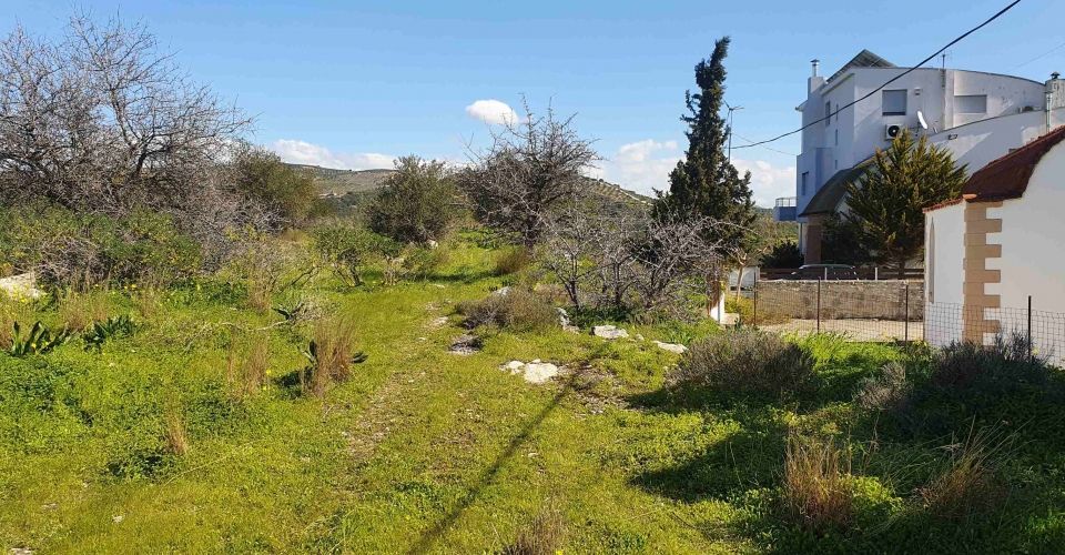 ΟΙΚΟΠΕΔΟ 2000 m²  ΠΡΟΣ ΠΩΛΗΣΗ ΣΤΙΣ ΜΟΙΡΕΣ