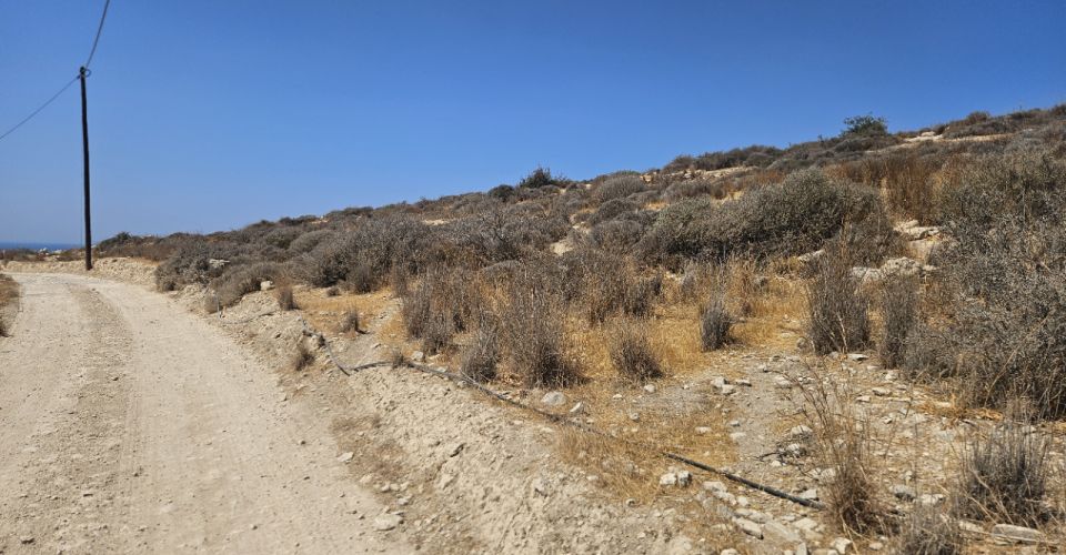 ΟΙΚΟΠΕΔΟ 6015 m² ΠΡΟΣ ΠΩΛΗΣΗ ΣΤΟ ΚΑΜΗΛΑΡΙ