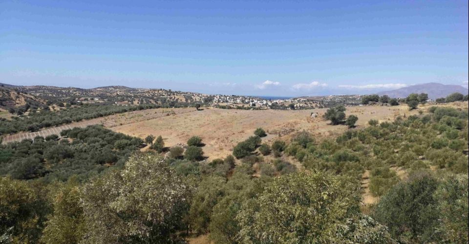 LAND PLOT 8.000 m² FOR SALE IN KOUSES