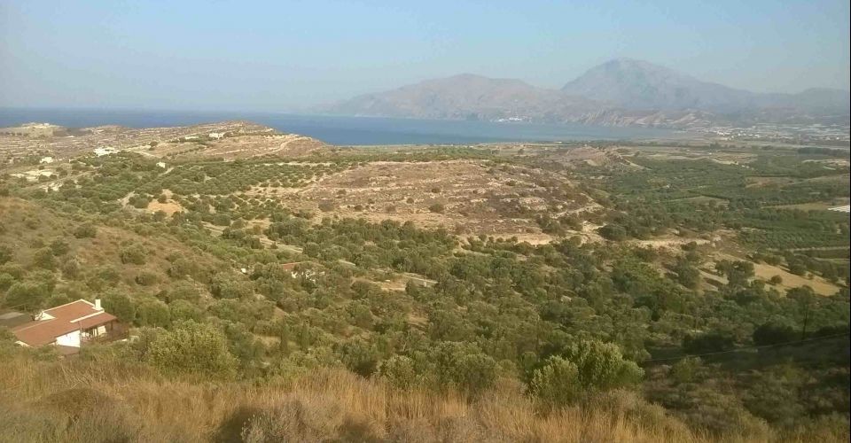 LAND PLOT 10 ACRES FOR SALE IN KAMILARI