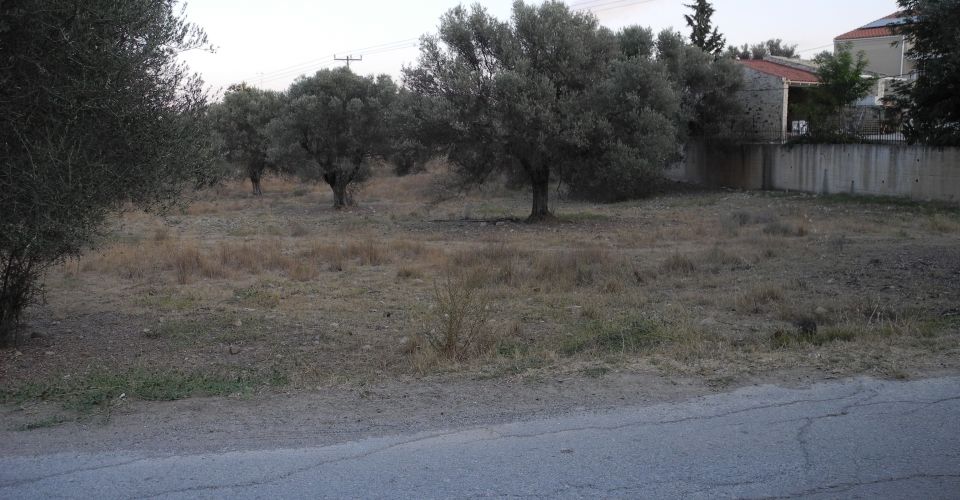 LAND PLOT 4.000 m² FOR SALE IN MIRES