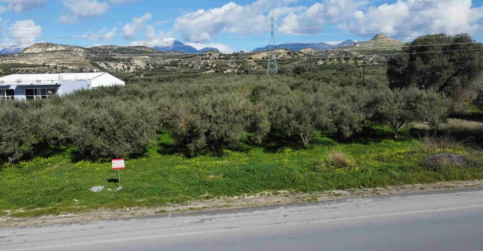 LAND PLOT 6.633 m² FOR SALE IN KAPPARIANA