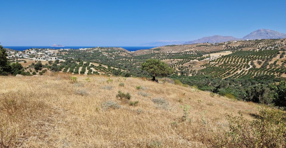 ΟΙΚΟΠΕΔΟ 4000 m² ΠΡΟΣ ΠΩΛΗΣΗ ΣΤΟ ΣΙΒΑ