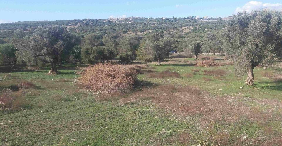 LAND PLOT 4660 m² FOR SALE IN SIVAS