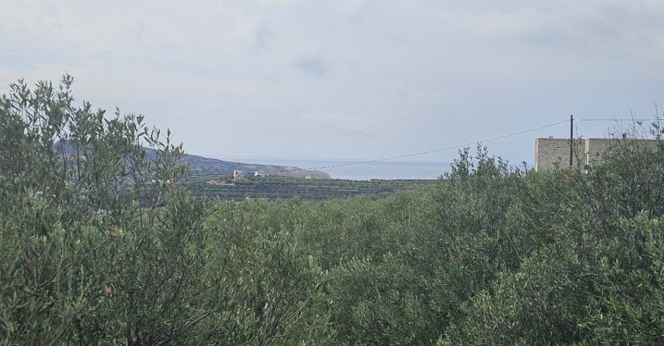 LAND PLOT 2.500 m² FOR SALE IN KAMILARI