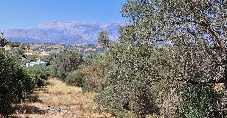 LAND PLOT 1060 m² FOR SALE IN KAMILARI