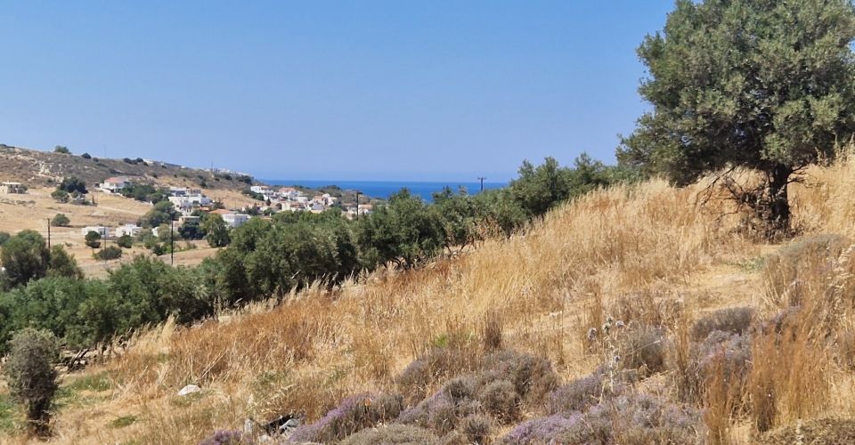 LAND PLOT 4566 m² FOR SALE IN KALAMAKI