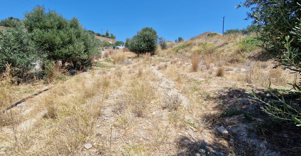 ΟΙΚΟΠΕΔΟ 1592 m² ΠΡΟΣ ΠΩΛΗΣΗ ΣΤΟ ΚΑΛΑΜΑΚΙ