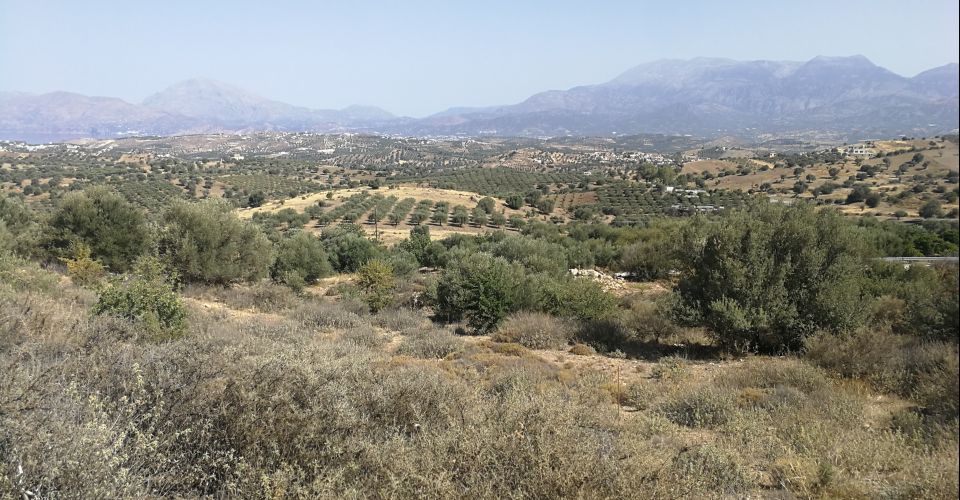 ΟΙΚΟΠΕΔΟ 2800m²  ΠΡΟΣ ΠΩΛΗΣΗ ΣΤΟ ΛΙΣΤΑΡΟ