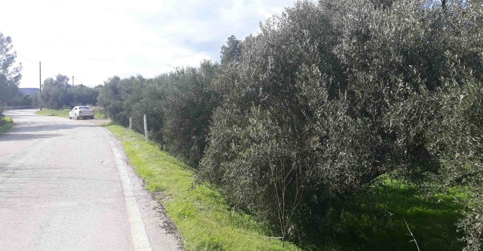 LAND PLOT 2.000 m² FOR SALE IN FANEROMENI