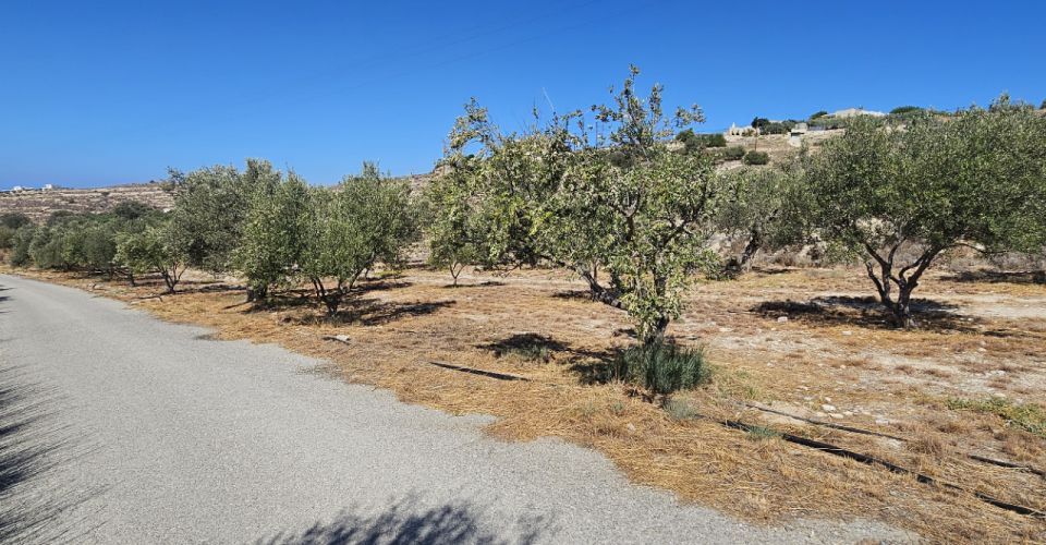 ΟΙΚΟΠΕΔΟ 5436 m² ΠΡΟΣ ΠΩΛΗΣΗ ΣΤΟ ΚΑΛΑΜΑΚΙ