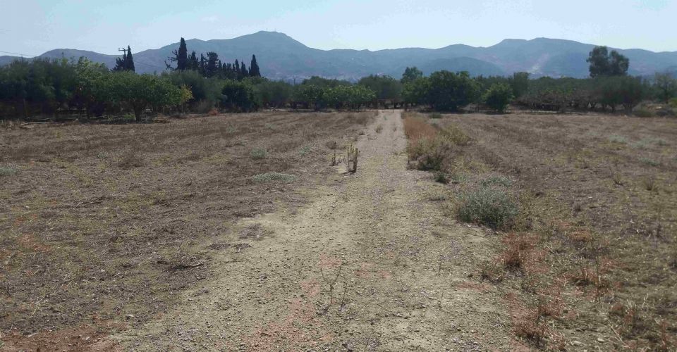 ΑΓΡΟΤΕΜΑΧΙΟ 3.100 m² ΠΡΟΣ ΠΩΛΗΣΗ ΣΤΙΣ ΜΟΙΡΕΣ