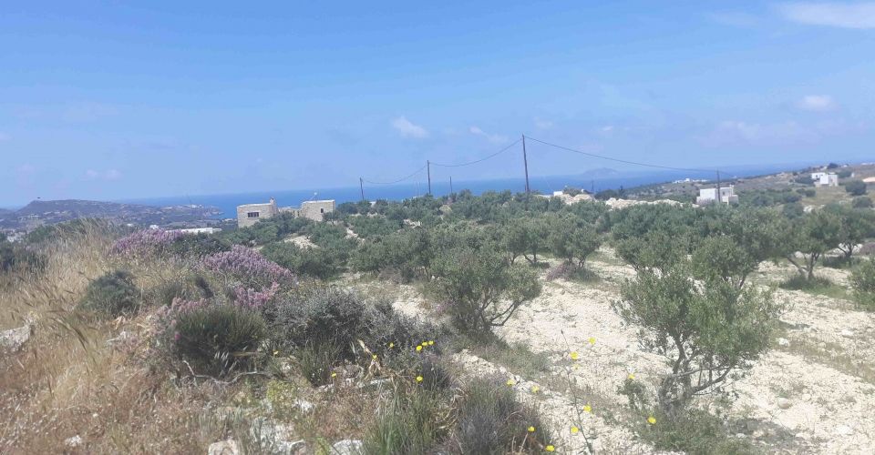 LAND PLOT 2130 m² FOR SALE IN KAMILARI