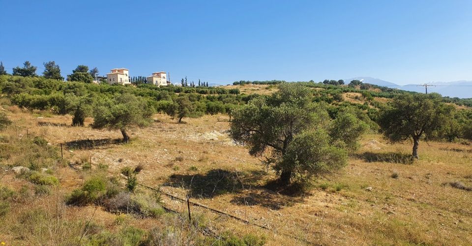 FOR SALE LAND PLOT OF 2800 m²  IN KAMILARI 