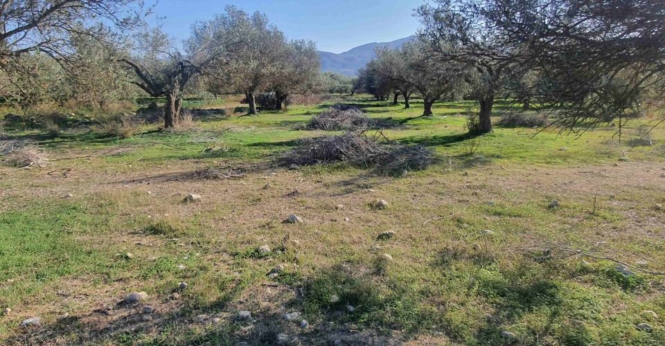 ΟΙΚΟΠΕΔΟ 3400 m² ΠΡΟΣ ΠΩΛΗΣΗ ΣΤΙΣ ΜΟΙΡΕΣ (ΠΛΗΣΙΟΝ ΕΝΩΣΗΣ ΜΕΣΑΡΑΣ)