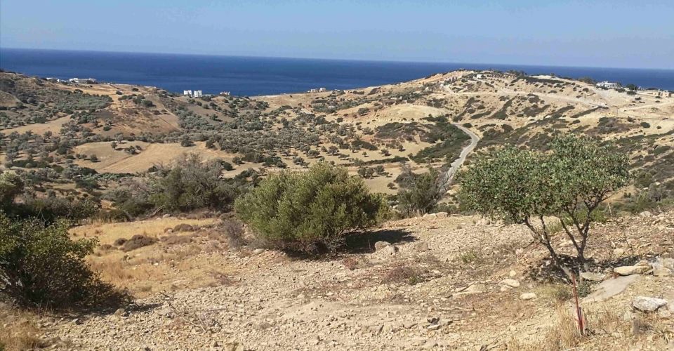 LAND PLOT 4577 m² FOR SALE IN TRIOPETRA