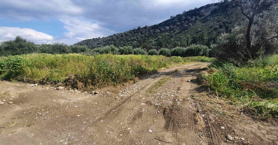 AGRICULTURAL LAND 1.000 m² FOR SALE IN VORI 