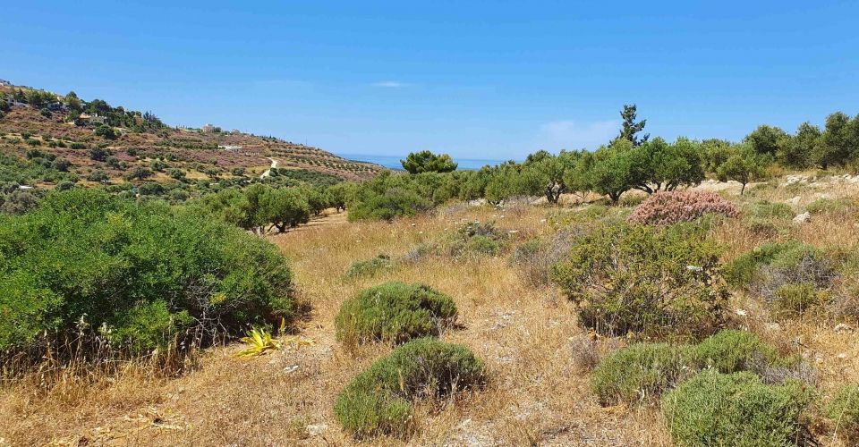 LAND PLOT 5.500 m² FOR SALE IN KAMILARI