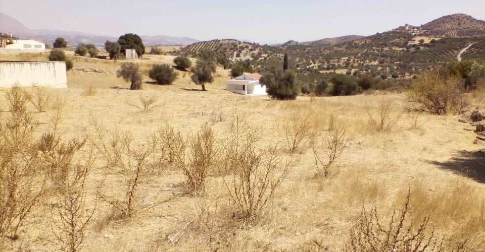 ΟΙΚΟΠΕΔΟ 852 m² ΠΡΟΣ ΠΩΛΗΣΗ ΣΤΟ ΣΙΒΑ