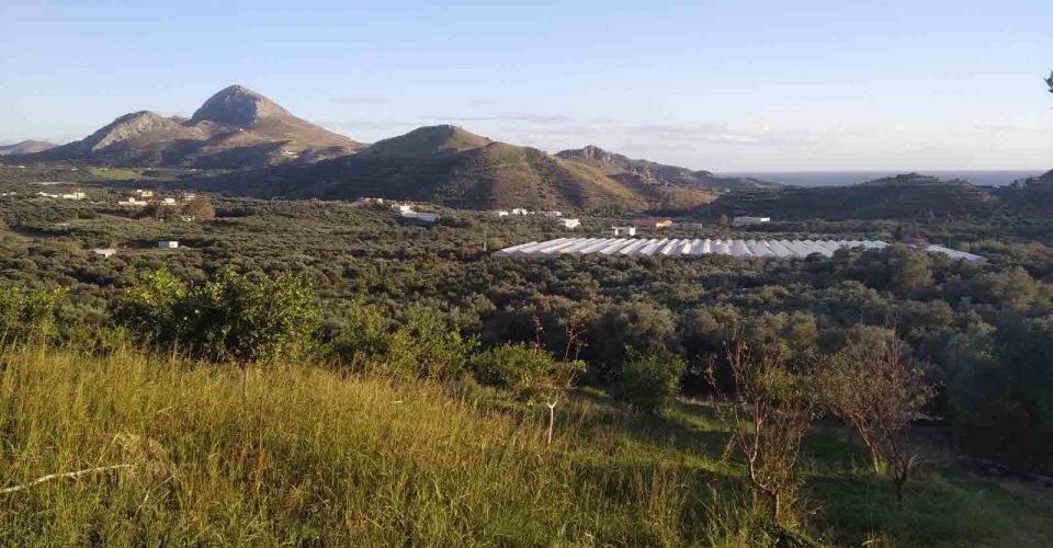 GRUNDSTÜCK 13.000 QM ZUM VERKAUF IN PLAKIAS