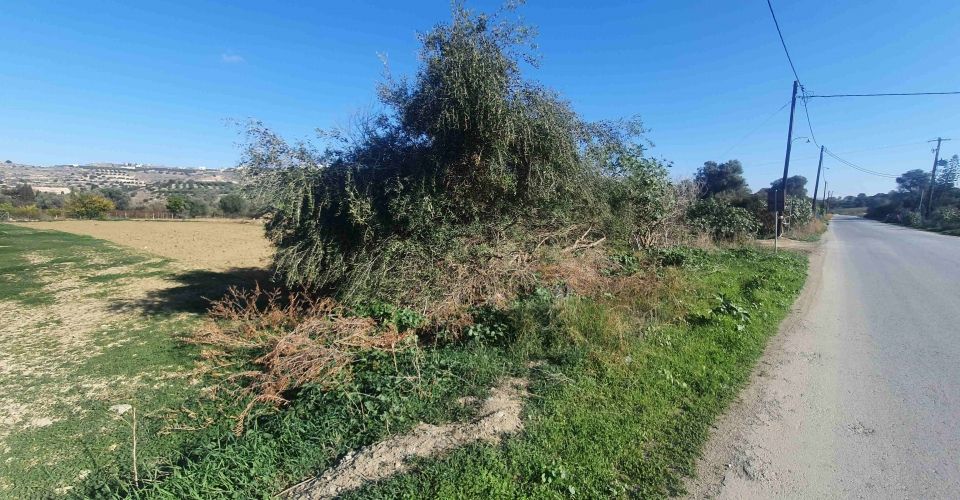 ΟΙΚΟΠΕΔΟ 2100 m² ΠΡΟΣ ΠΩΛΗΣΗ ΣΤΑ ΠΙΤΣΙΔΙΑ