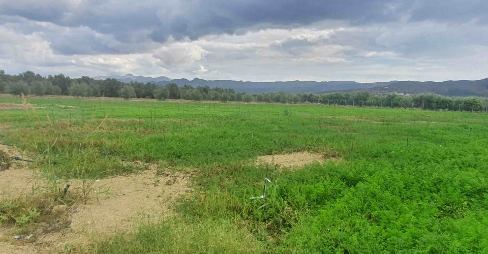 LANDWIRTSCHAFTLICHE NUTZFLÄCHE  6.500 m² ZUM VERKAUF IN MIRES