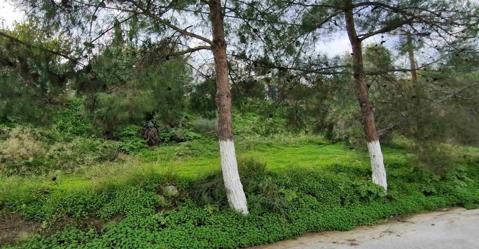 LAND PLOT 330 m² FOR SALE IN KAMILARI