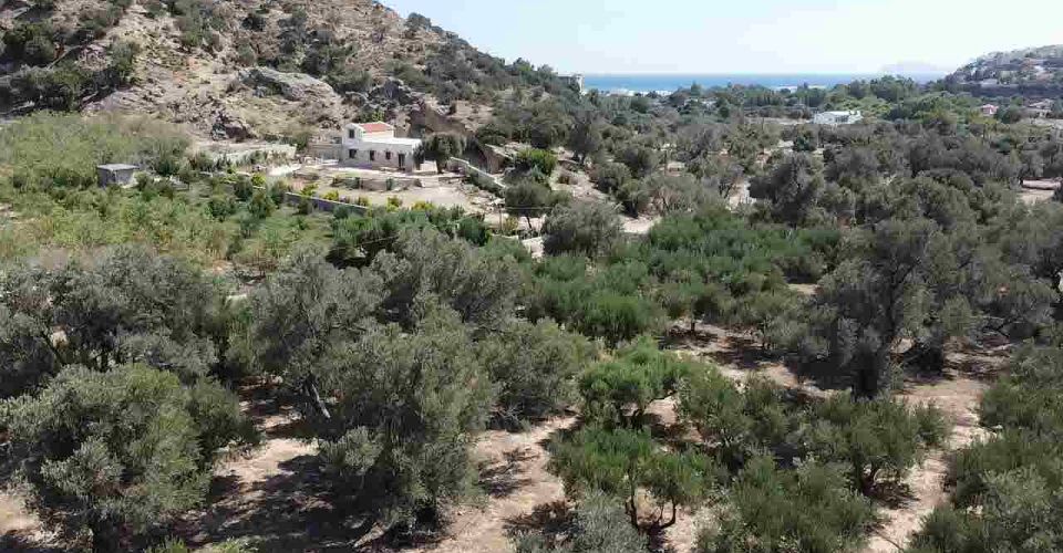 GRUNDSTÜCK VON 6546 m² ZUM VERKAUF IN AGIA GALINI