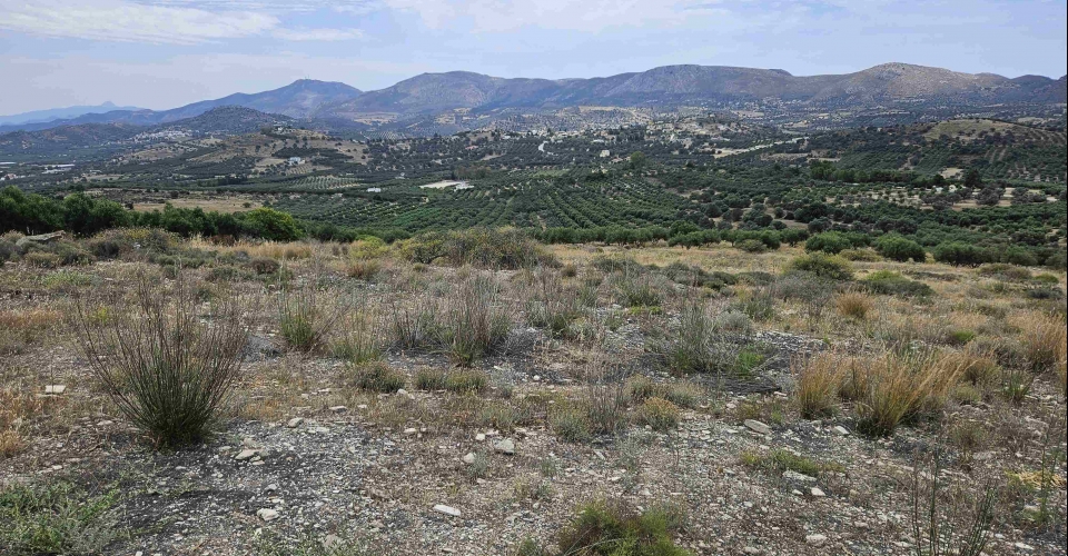 LAND PLOT 4050 m² FOR SALE IN KAMILARI