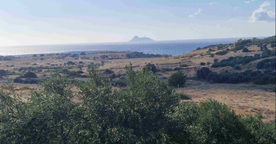 LAND PLOT 4480 m² FOR SALE IN PITSIDIA (KOMOS)