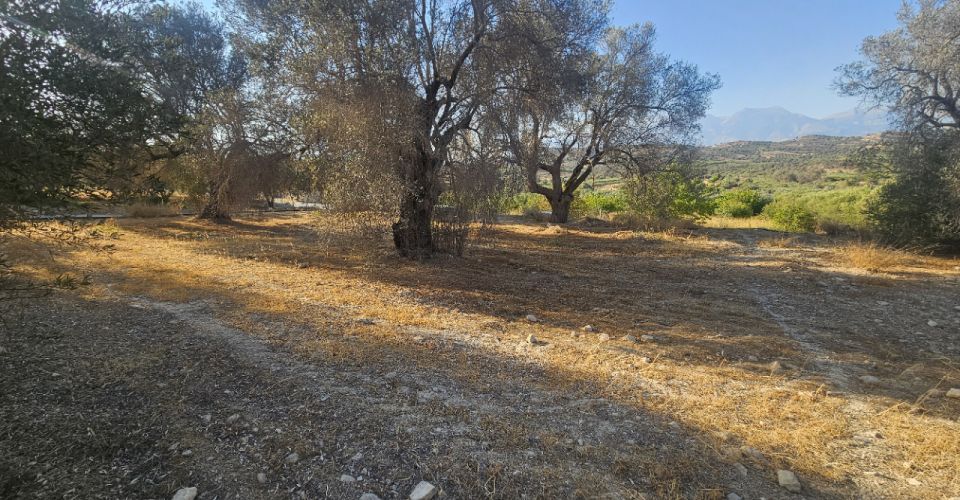 LAND PLOT 750 m² FOR SALE IN KAMILARI