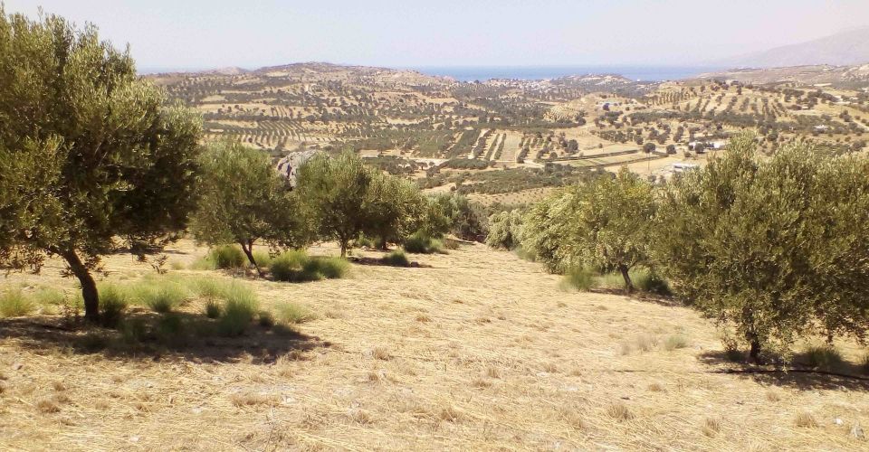 LAND PLOT 5360 m² FOR SALE IN SIVAS