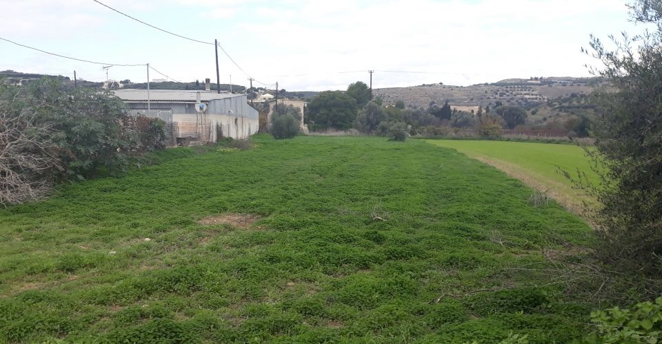 ΟΙΚΟΠΕΔΟ 1400 m² ΠΡΟΣ ΠΩΛΗΣΗ ΣΤΑ ΠΙΤΣΙΔΙΑ