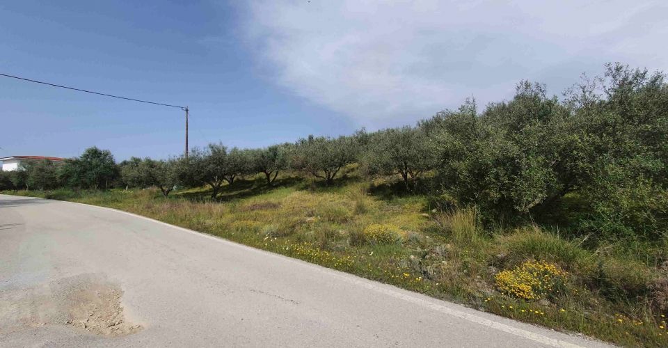 AGRICULTURAL LAND 2.500 m² FOR SALE IN FANEROMENI