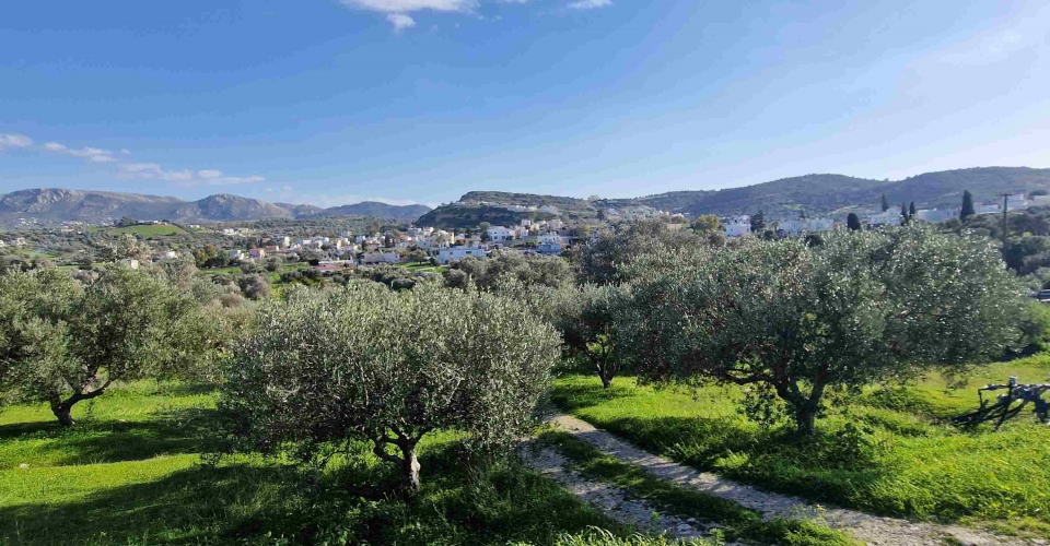 LAND PLOT 2.100 m² FOR SALE IN PITSIDIA