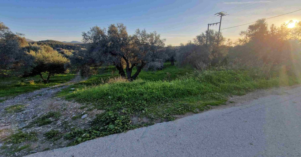 LANDWIRTSCHAFTLICHE GRUNDSTÜCKE 3.400 m² ZU VERKAUFEN IN FANEROMENI