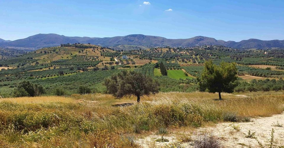 ΟΙΚΟΠΕΔΟ 4.000 m² ΠΡΟΣ ΠΩΛΗΣΗ ΣΤΟ ΣΙΒΑ