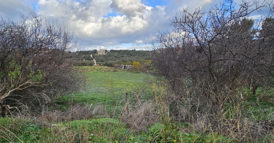 ΟΙΚΟΠΕΔΟ ΠΡΟΣ ΠΩΛΗΣΗ 863 m² ΣΤΑ ΠΙΤΣΙΔΙΑ