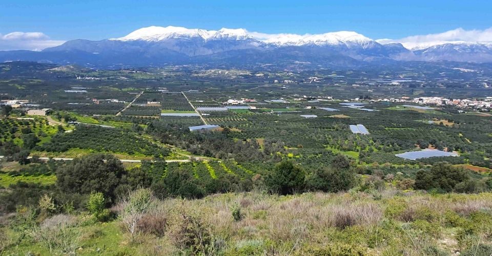 LAND PLOT 8672 m² FOR SALE IN KOUSES