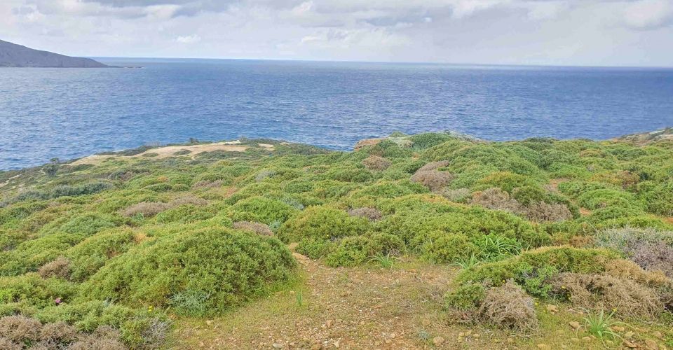 LAND PLOT 44.000 m² FOR SALE IN AGIA PELAGIA