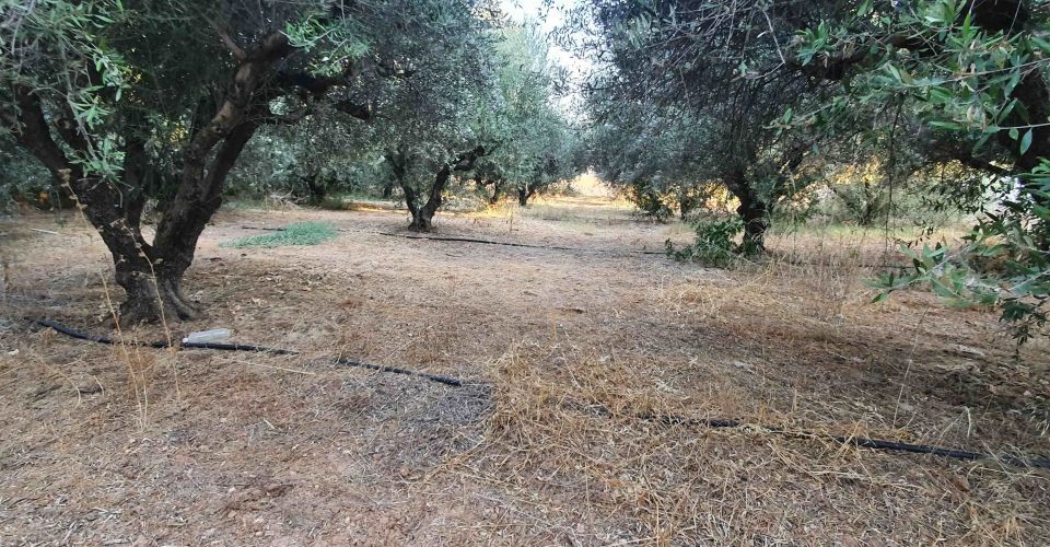 LAND PLOT 793 m² FOR SALE IN VORI