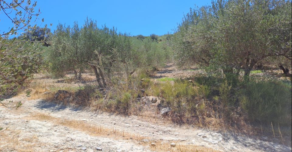 LAND PLOT 2700 m² FOR SALE IN FANEROMENI