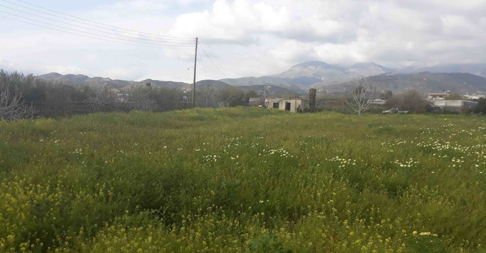 LAND PLOT 2.000 m²  FOR SALE IN KOKKINOS PIRGOS