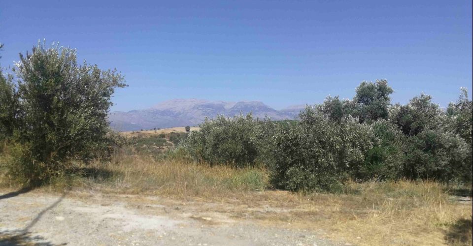 ΟΙΚΟΠΕΔΟ 2297 m² ΠΡΟΣ ΠΩΛΗΣΗ ΣΤΟΝ ΛΙΣΤΑΡΟ