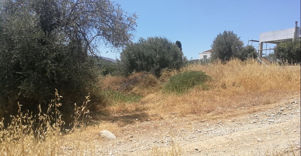 LAND PLOT 755 m² FOR SALE IN VORI