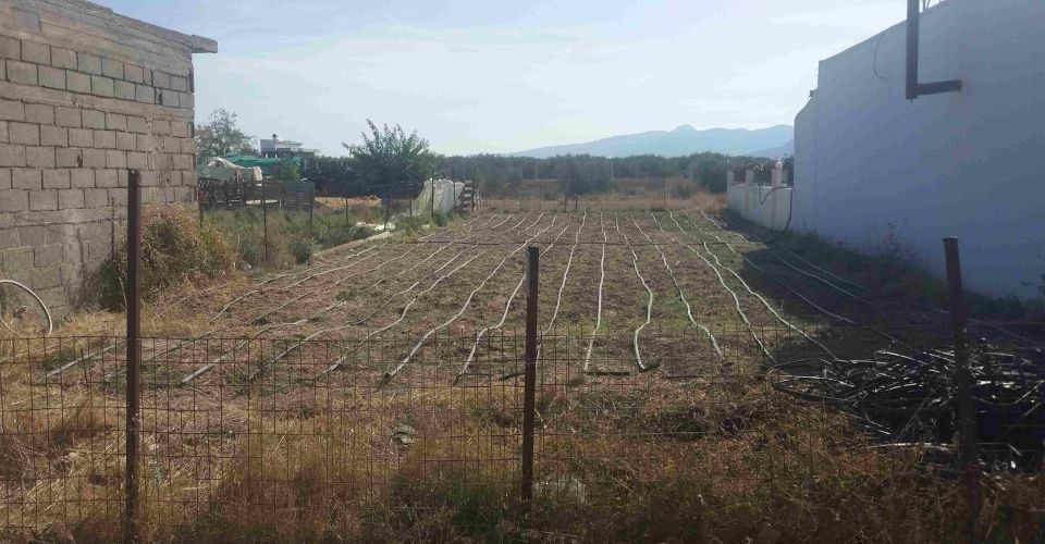 ΟΙΚΟΠΕΔΟ 200 m² ΠΡΟΣ ΠΩΛΗΣΗ ΣΤΑ ΚΑΠΠΑΡΙΑΝΑ